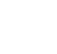True North School